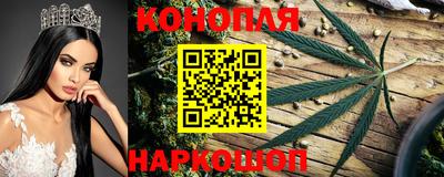 спиды Лесосибирск