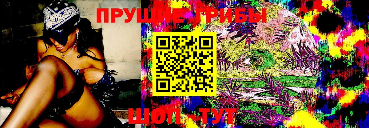 Сегежа  Галлюциногенные грибы MAGIC MUSHROOMS  Вход с VPN 