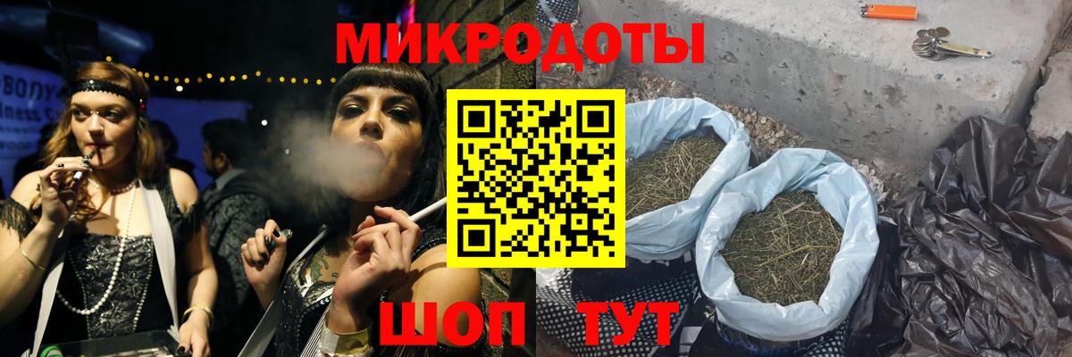 Галлюциногенные грибы Psilocybe Сегежа